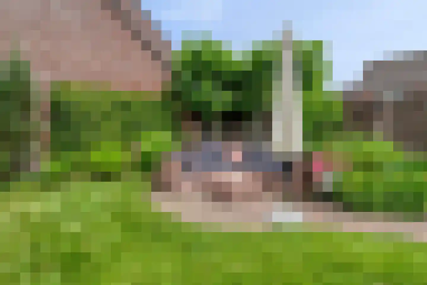 Meidoorn 32 Prinsenbeek thumbnail 32