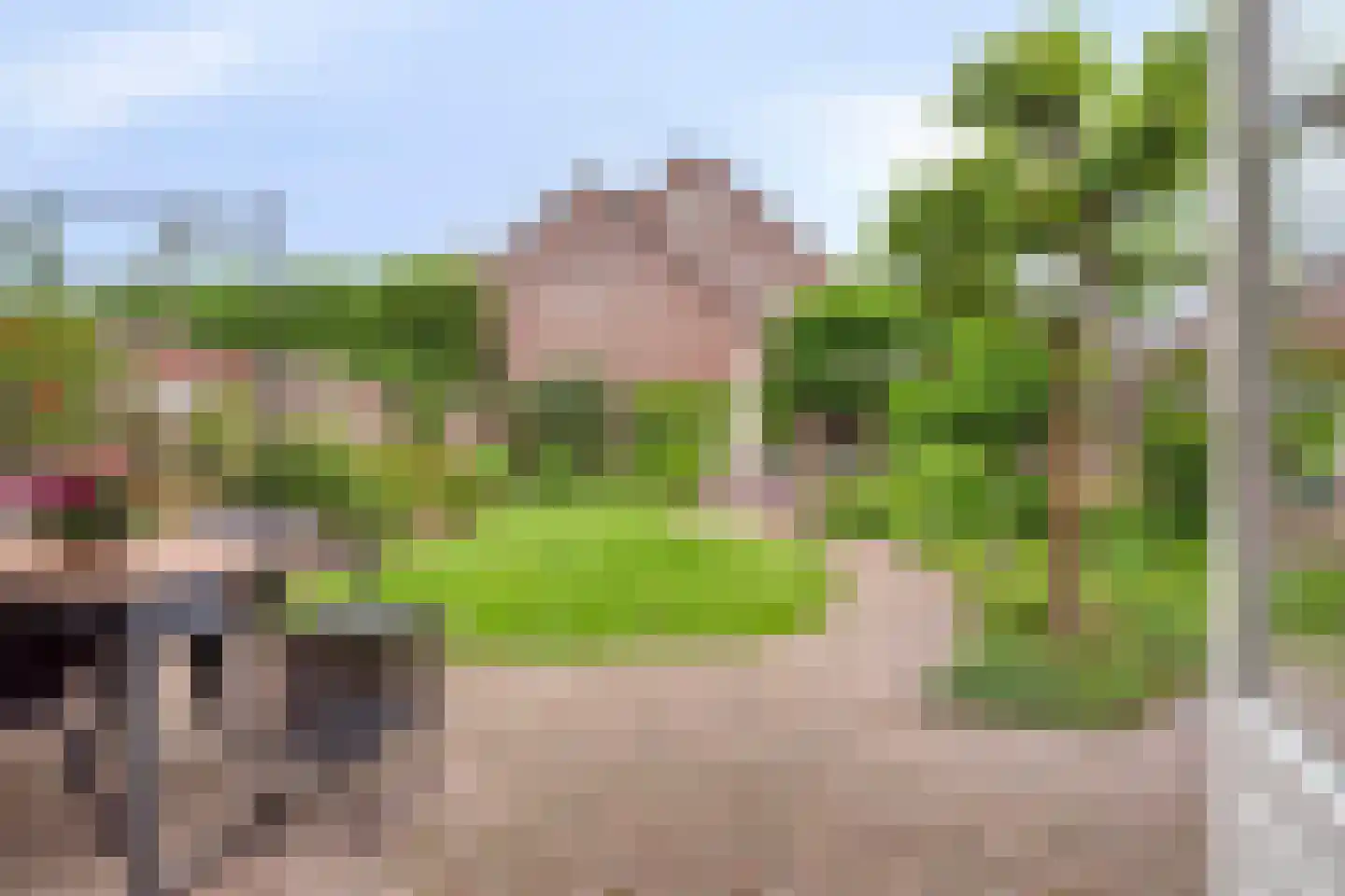 Meidoorn 32 Prinsenbeek thumbnail 4