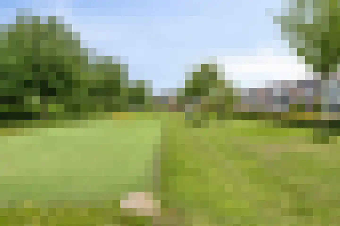 Meidoorn 32 Prinsenbeek thumbnail 40