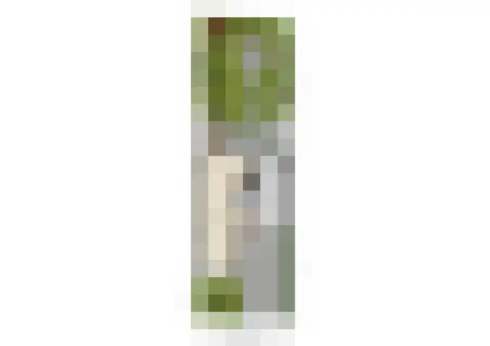 Meidoorn 32 Prinsenbeek thumbnail 44