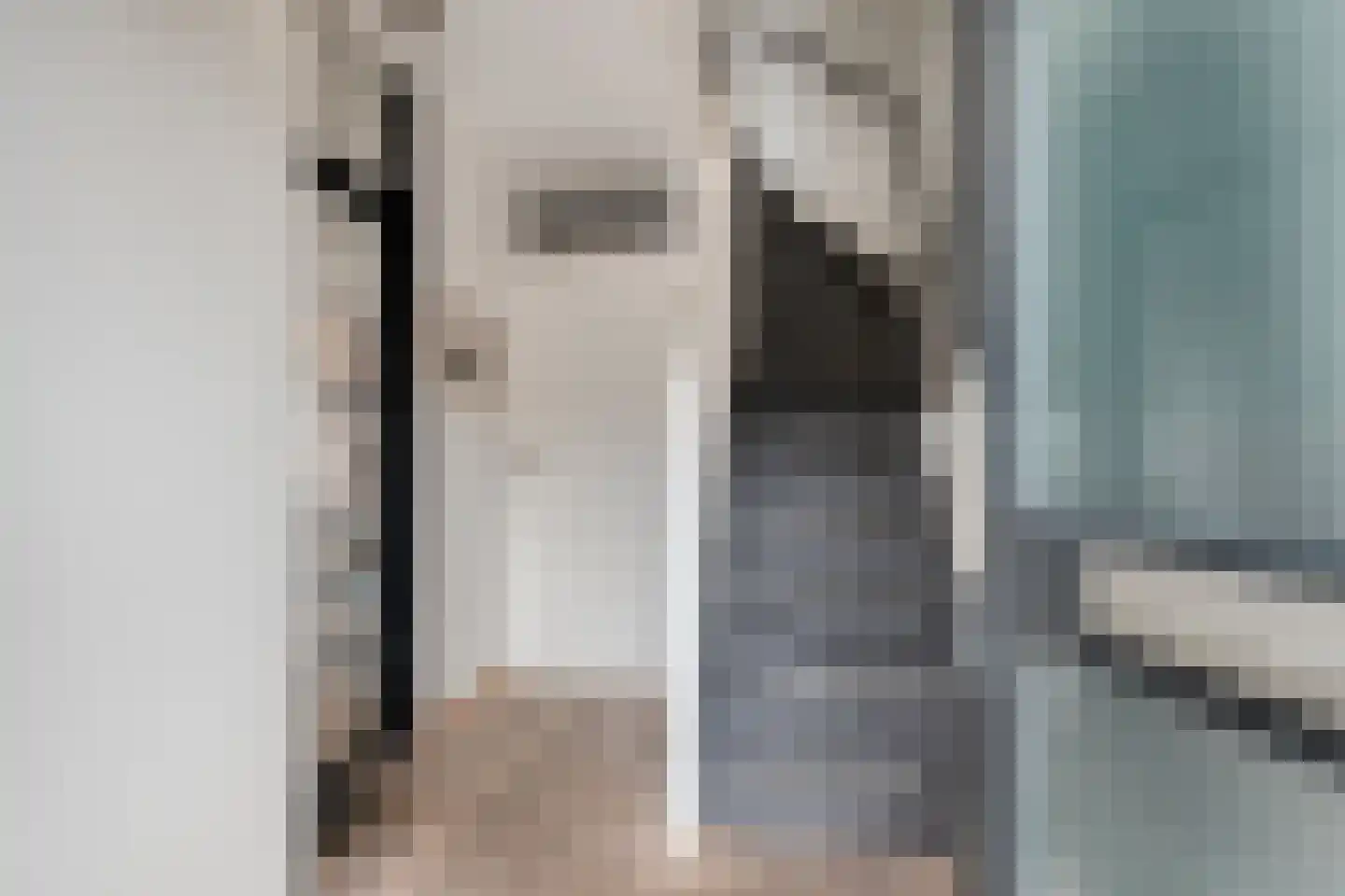 Meidoorn 32 Prinsenbeek thumbnail 6