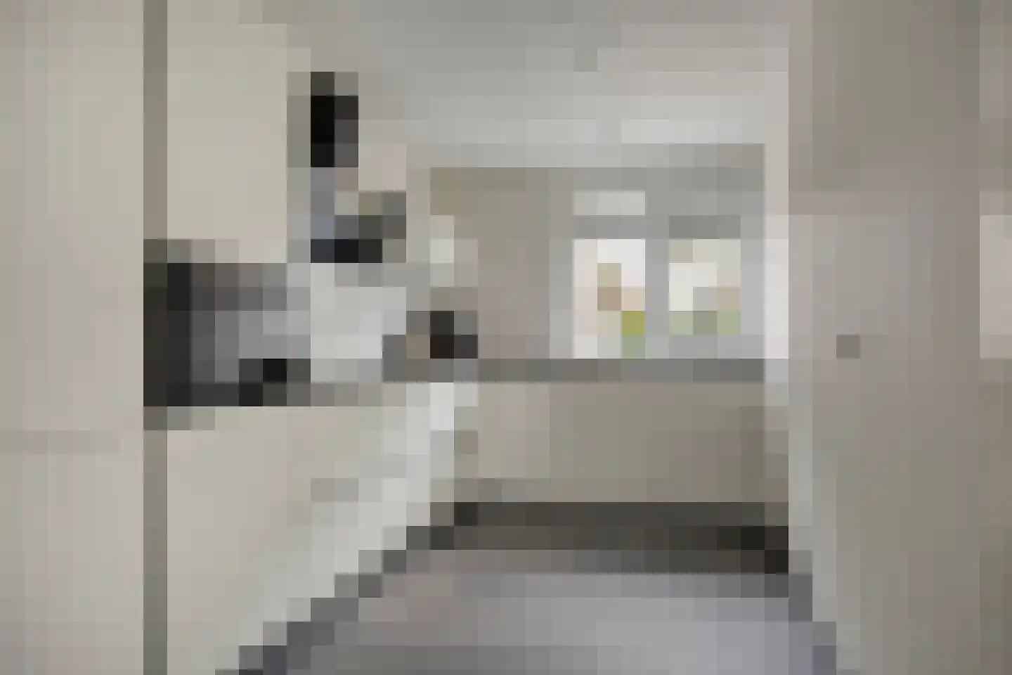 Meidoorn 33 Cuijk thumbnail 11