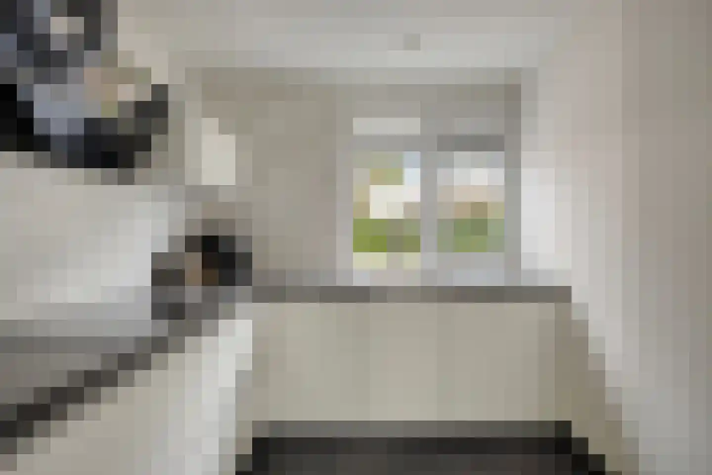 Meidoorn 33 Cuijk thumbnail 12