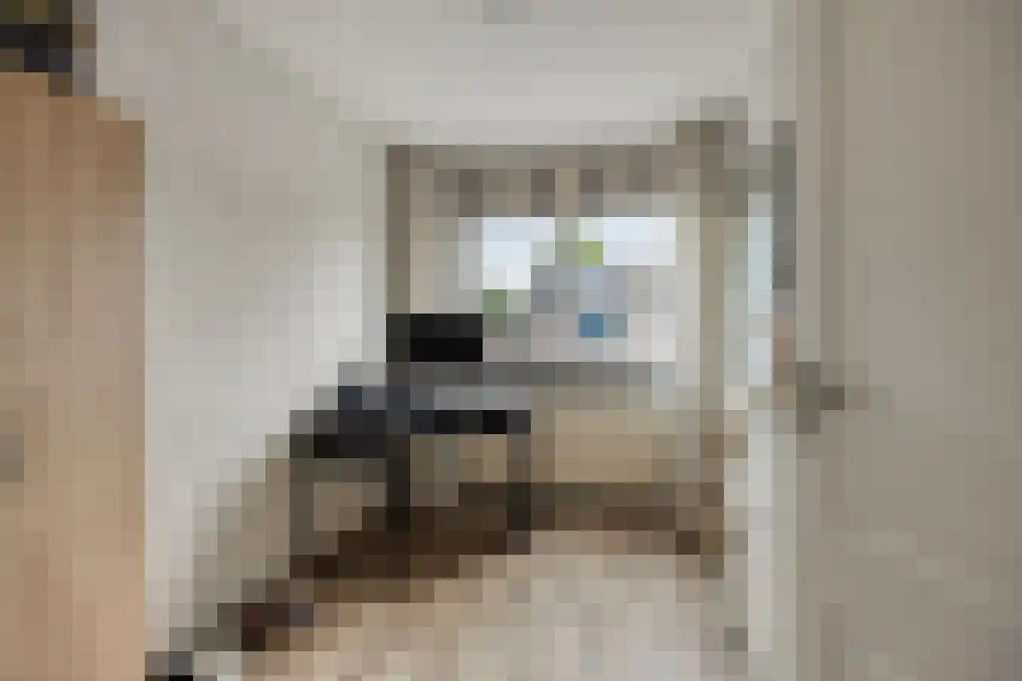 Meidoorn 33 Cuijk thumbnail 21