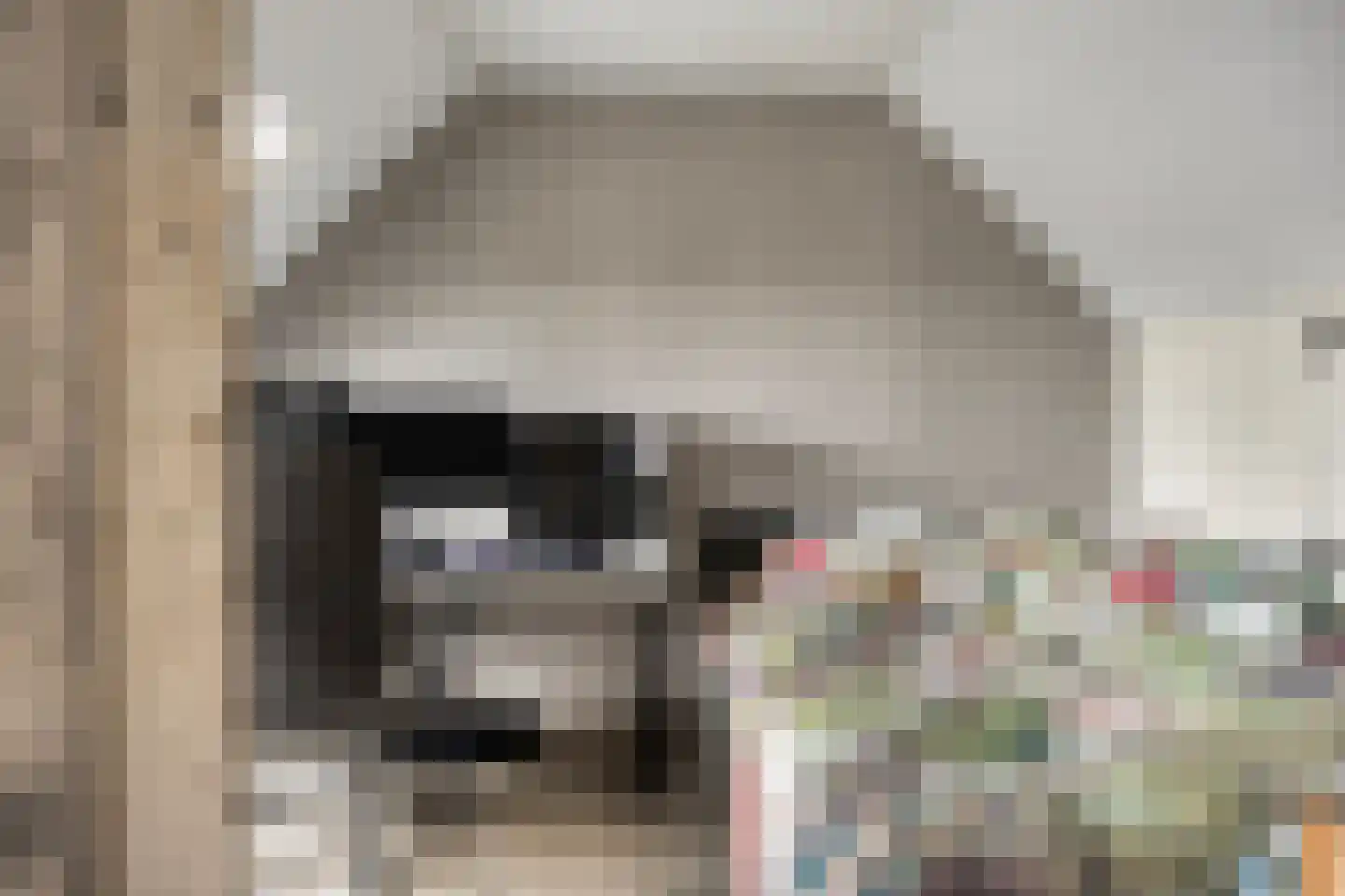 Meidoorn 33 Cuijk thumbnail 22