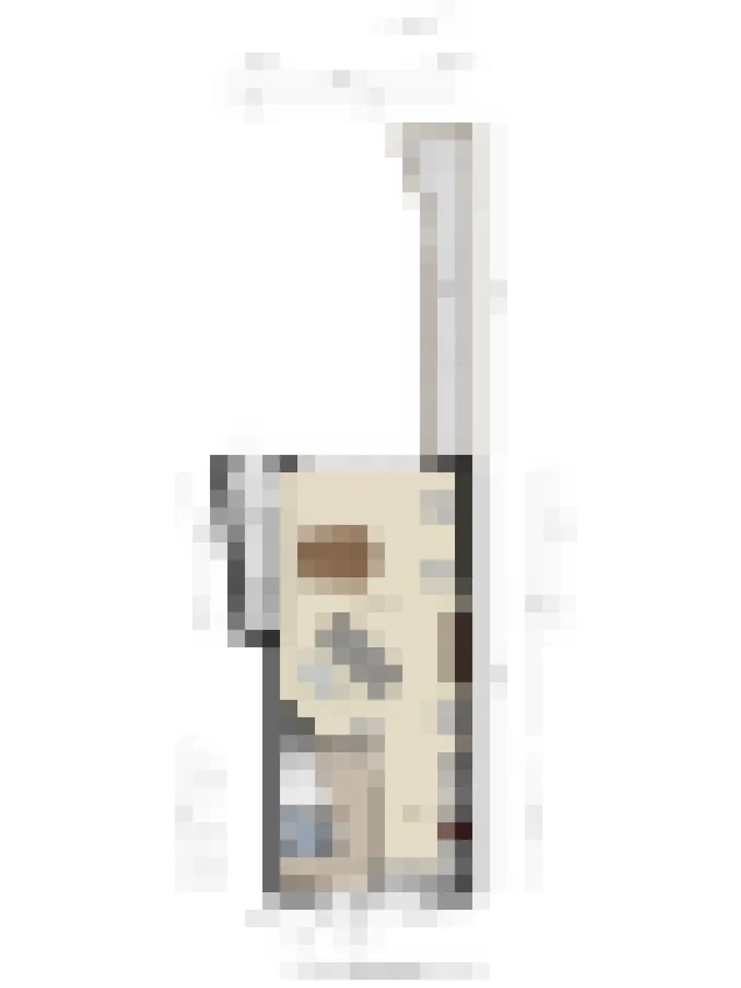 Meidoorn 33 Cuijk thumbnail 27