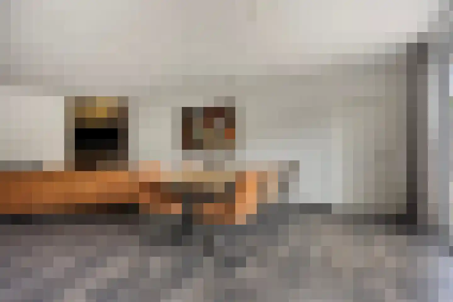 Meidoorn 33 Cuijk thumbnail 7