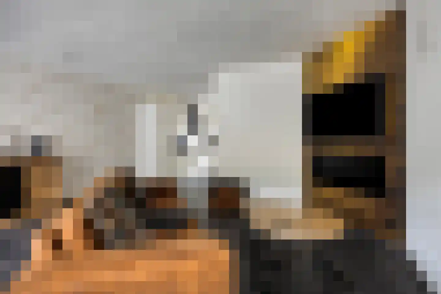 Meidoorn 33 Cuijk thumbnail 9