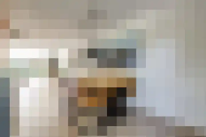 Meidoorn 35 Zeewolde thumbnail 10