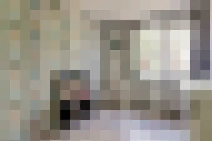 Meidoorn 35 Zeewolde thumbnail 21