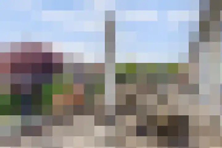 Meidoorn 35 Zeewolde thumbnail 23