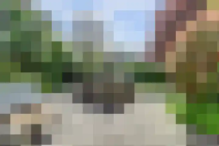 Meidoorn 35 Zeewolde thumbnail 35