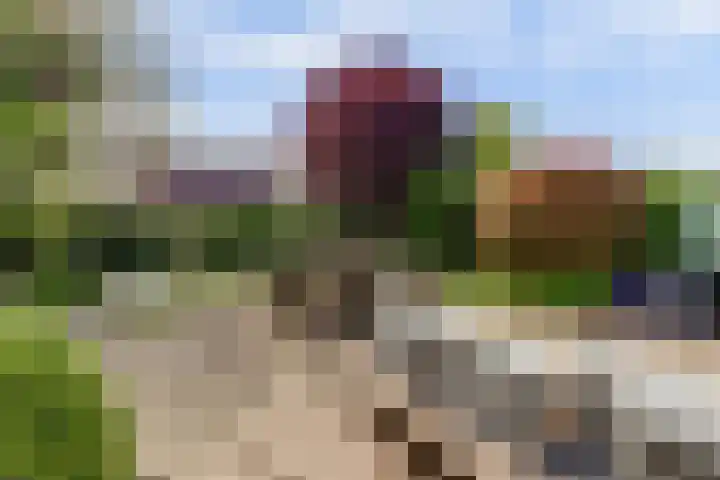 Meidoorn 35 Zeewolde thumbnail 36