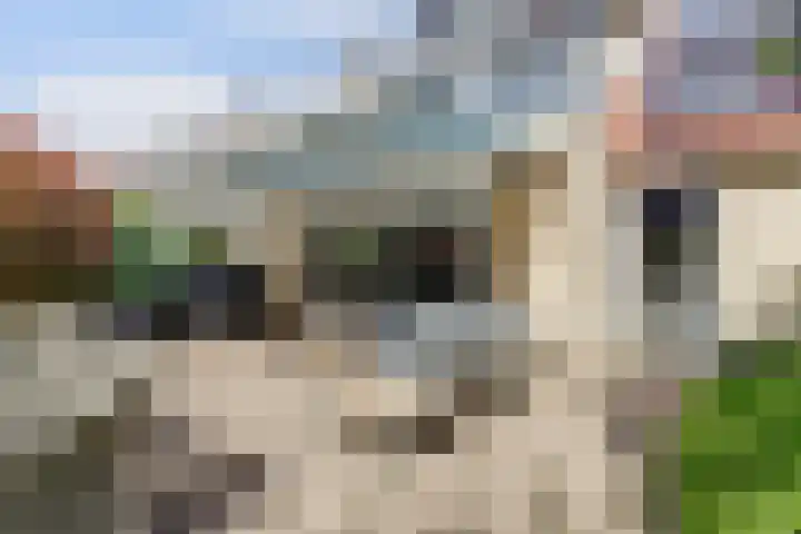 Meidoorn 35 Zeewolde thumbnail 37