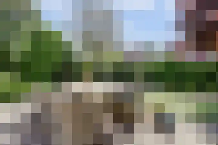Meidoorn 35 Zeewolde thumbnail 39