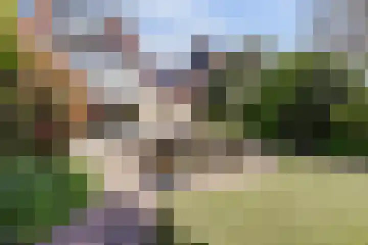 Meidoorn 35 Zeewolde thumbnail 40