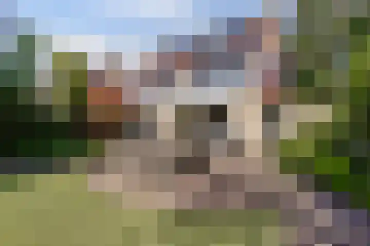 Meidoorn 35 Zeewolde thumbnail 42