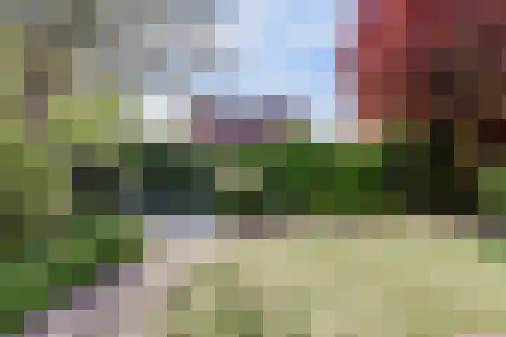 Meidoorn 35 Zeewolde thumbnail 43