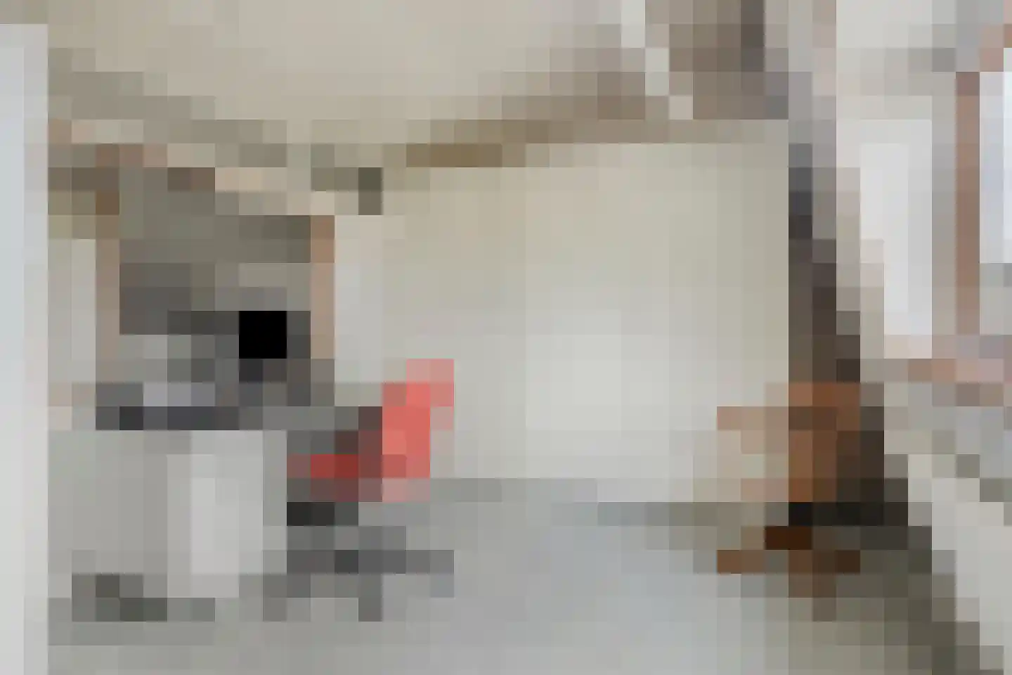 Meidoorn 36 Naaldwijk thumbnail 23