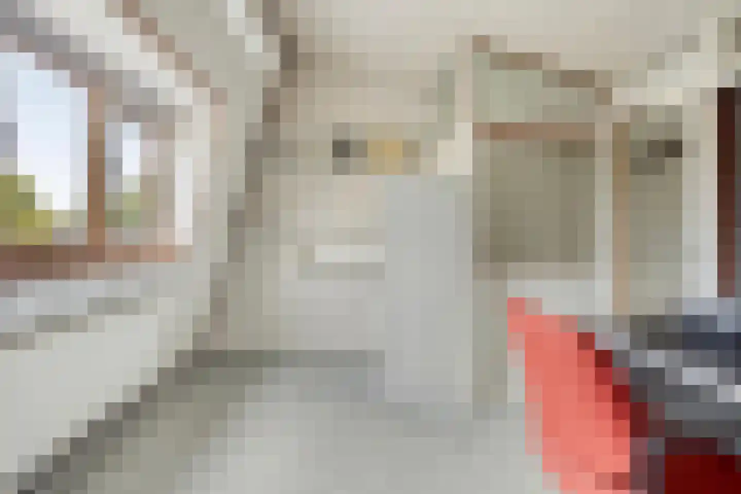 Meidoorn 36 Naaldwijk thumbnail 24
