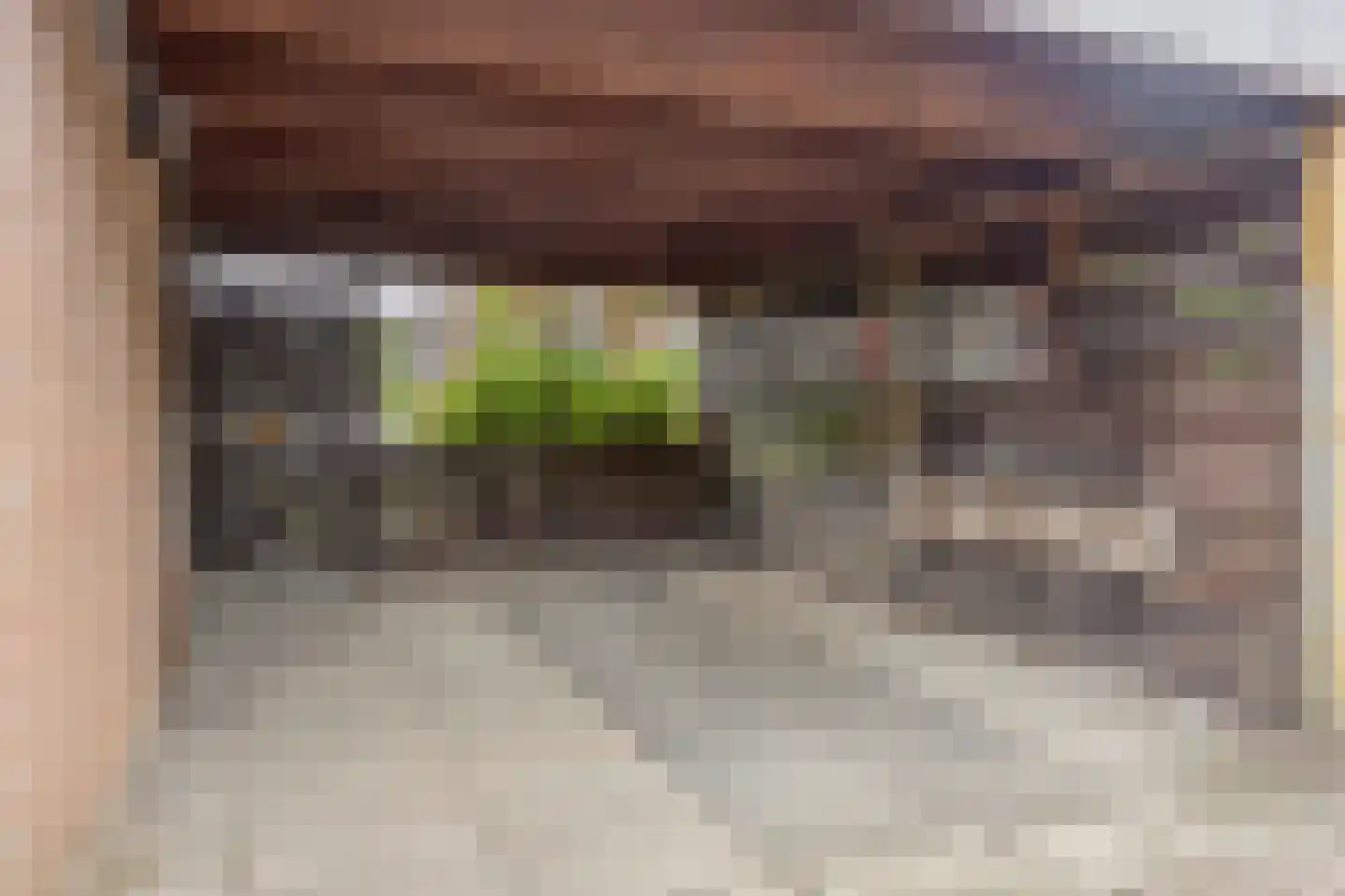 Meidoorn 36 Naaldwijk thumbnail 29