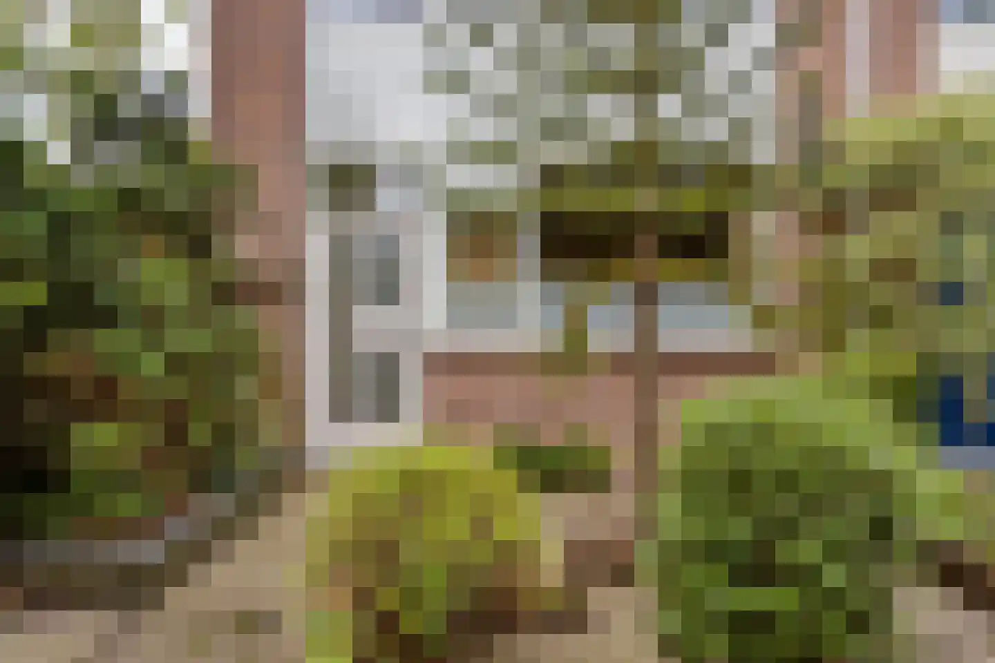 Meidoorn 36 Naaldwijk thumbnail 31