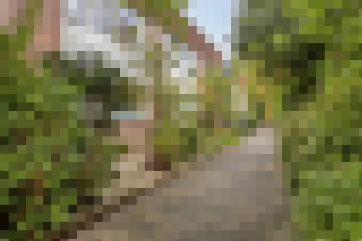 Meidoorn 36 Naaldwijk thumbnail 32