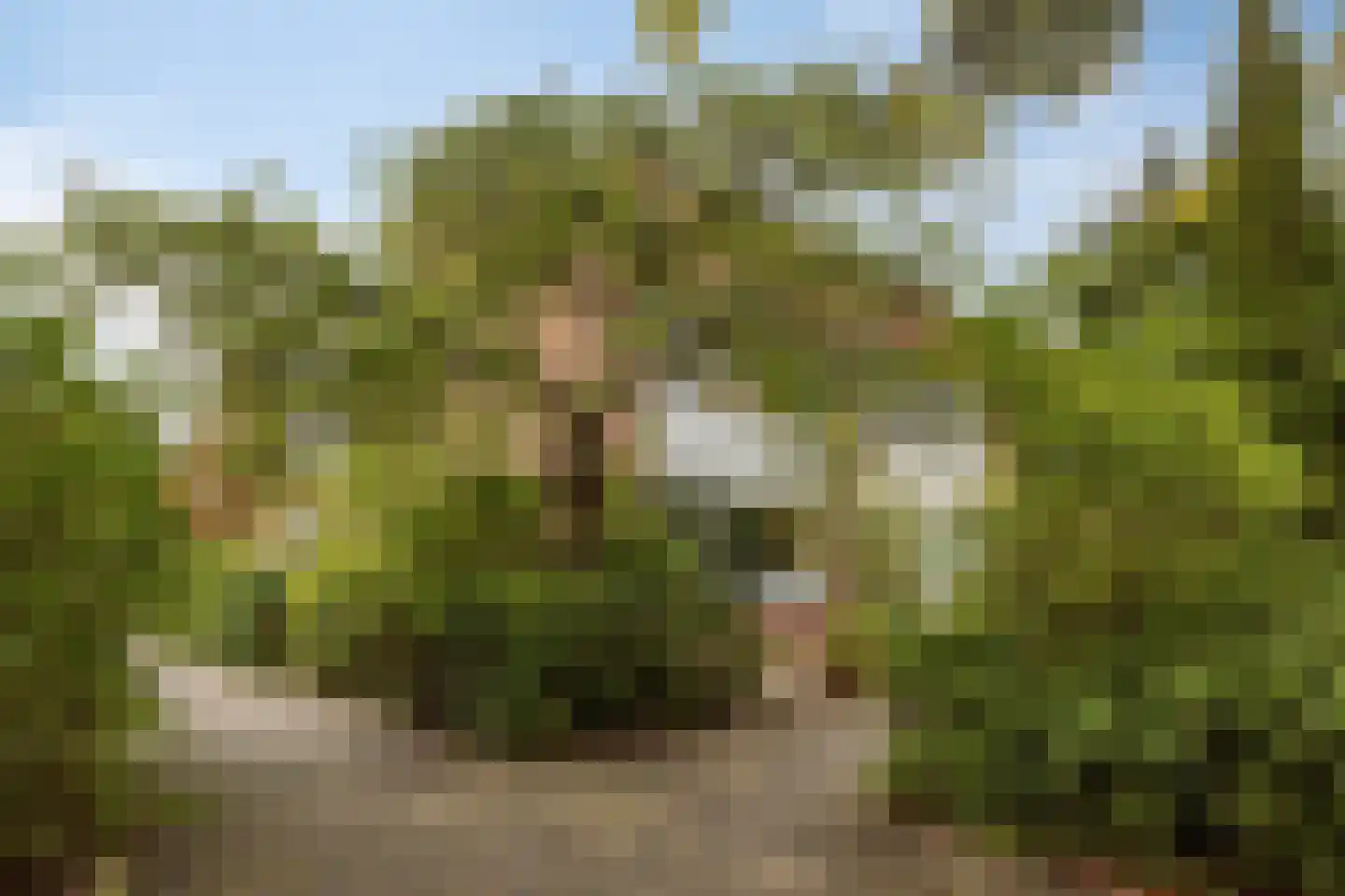 Meidoorn 36 Naaldwijk thumbnail 33