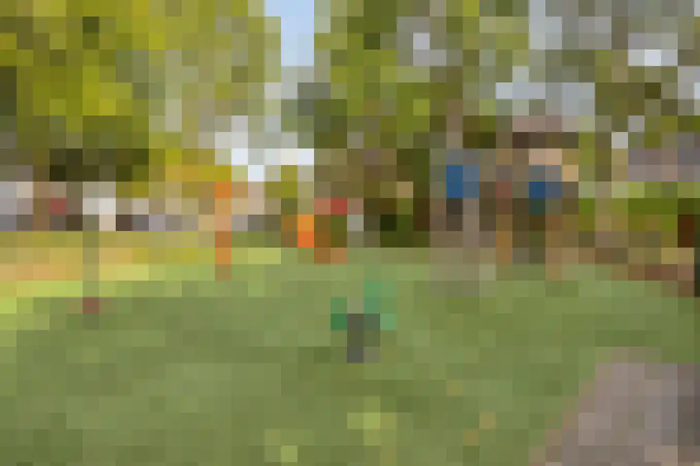 Meidoorn 36 Naaldwijk thumbnail 34