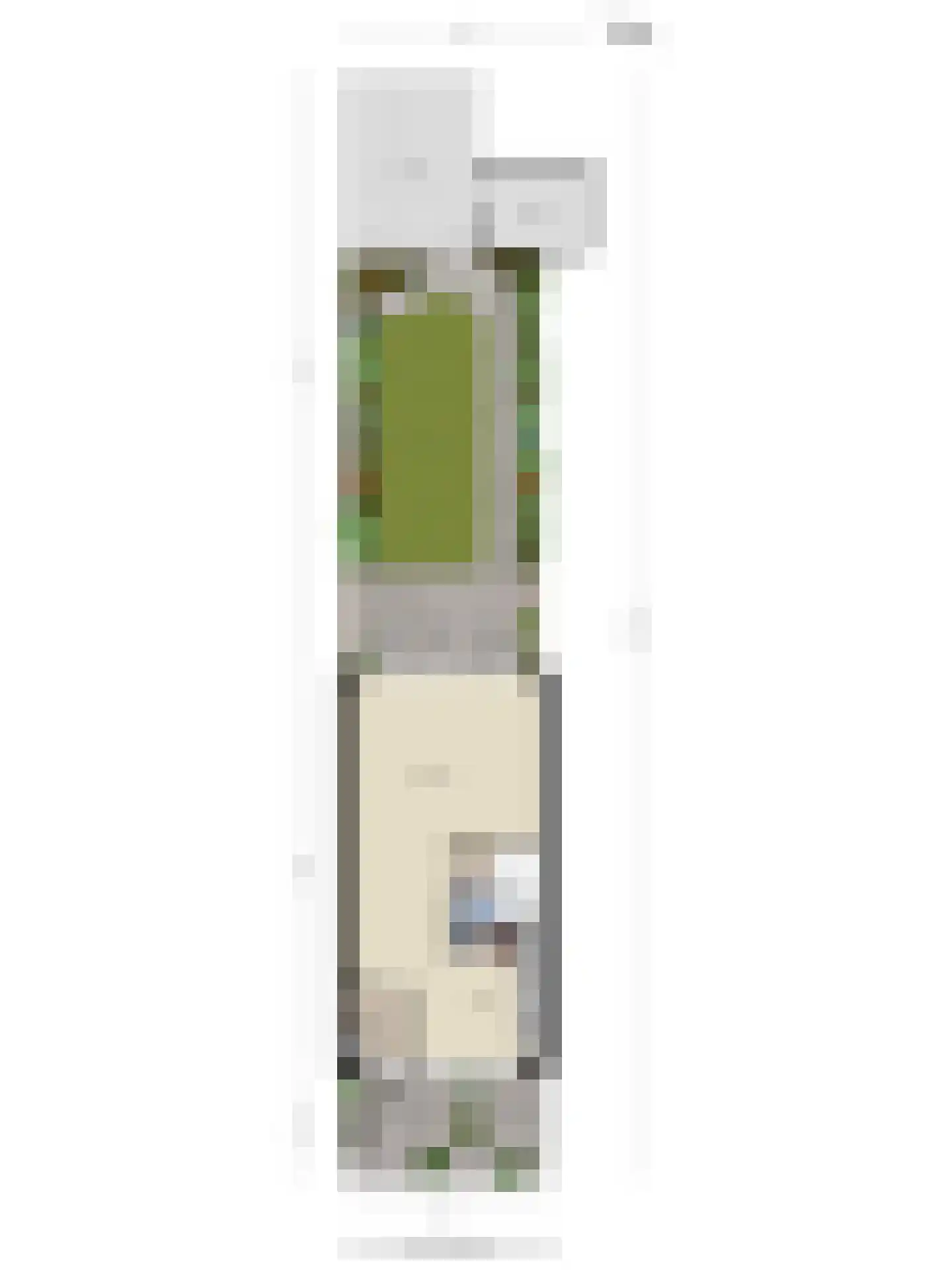 Meidoorn 36 Naaldwijk thumbnail 36