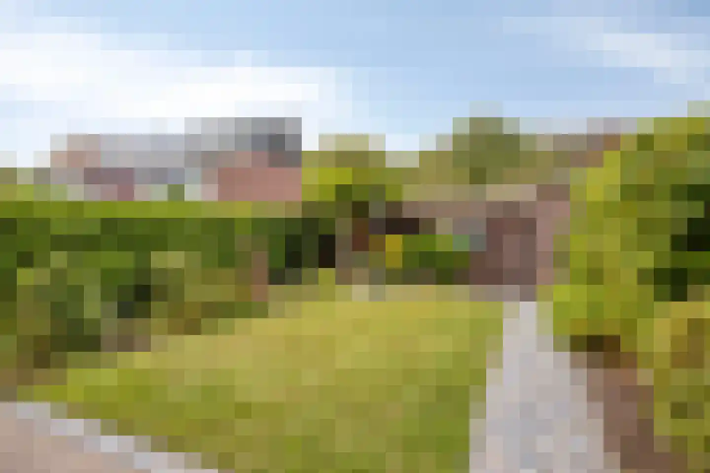 Meidoorn 36 Naaldwijk thumbnail 4