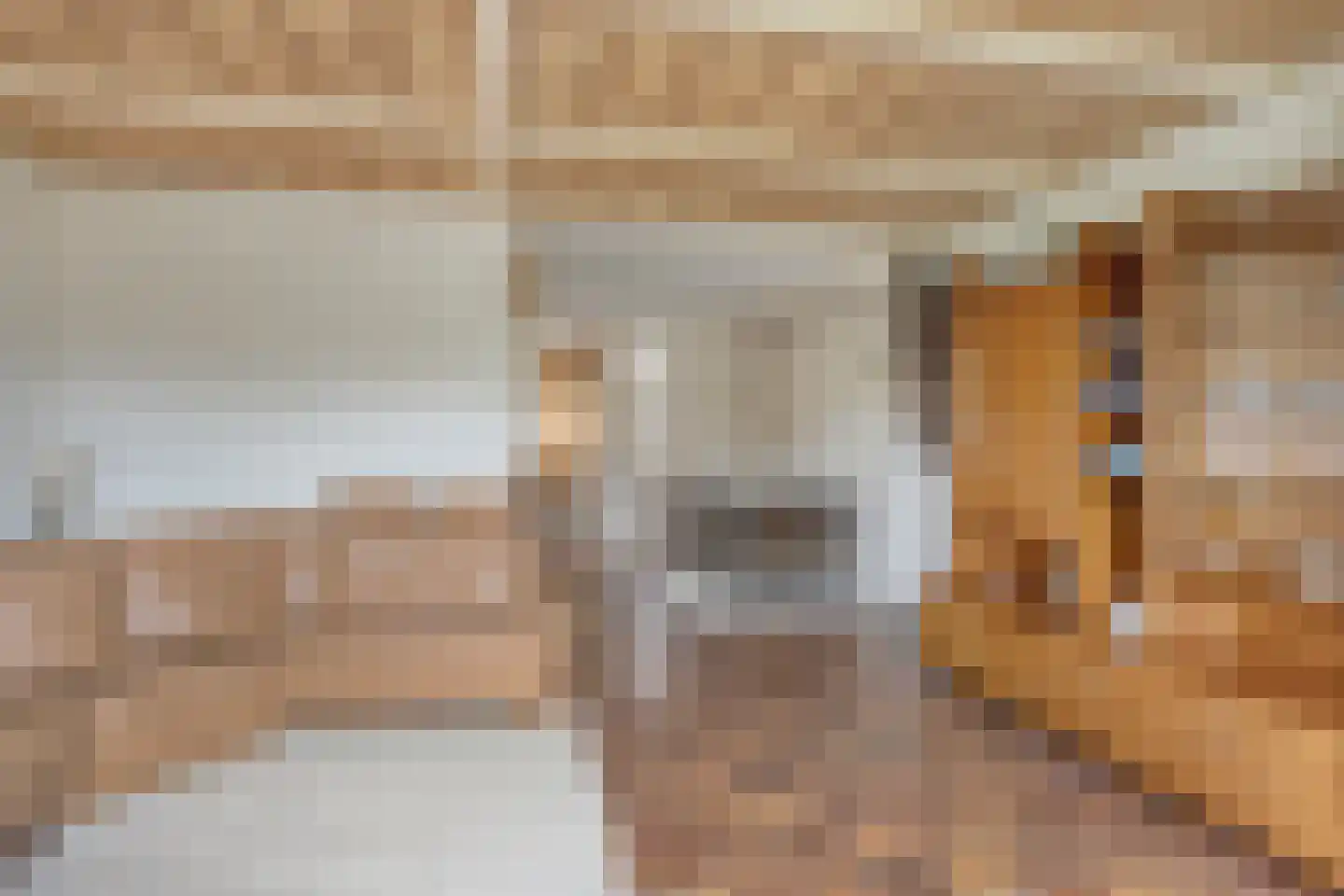 Meidoorn 36 Naaldwijk thumbnail 5
