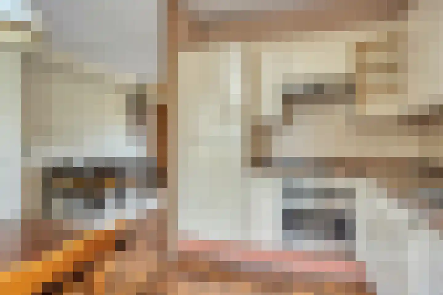 Meidoorn 36 Naaldwijk thumbnail 6