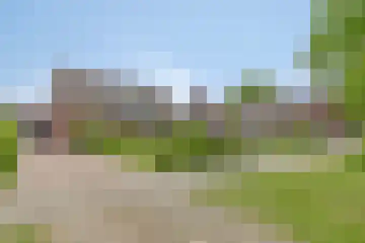 Meidoorn 4 Gieten thumbnail 10