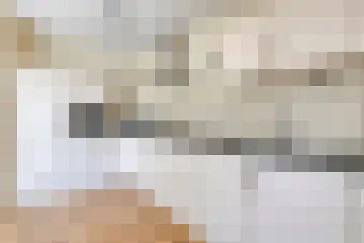 Meidoorn 4 Gieten thumbnail 20