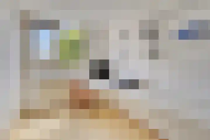 Meidoorn 4 Gieten thumbnail 32