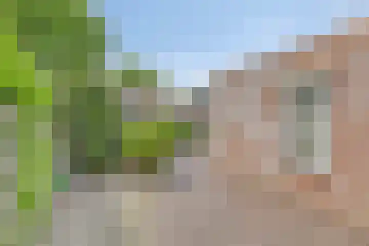 Meidoorn 4 Gieten thumbnail 39