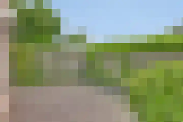 Meidoorn 4 Gieten thumbnail 41
