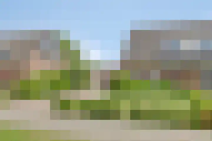 Meidoorn 4 Gieten thumbnail 9