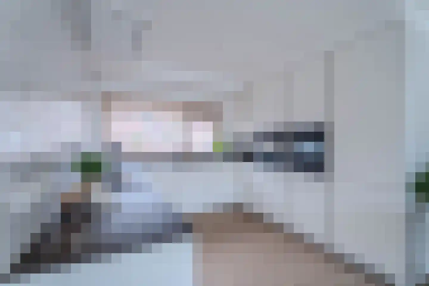 Meidoorn 43 Poortugaal thumbnail 15