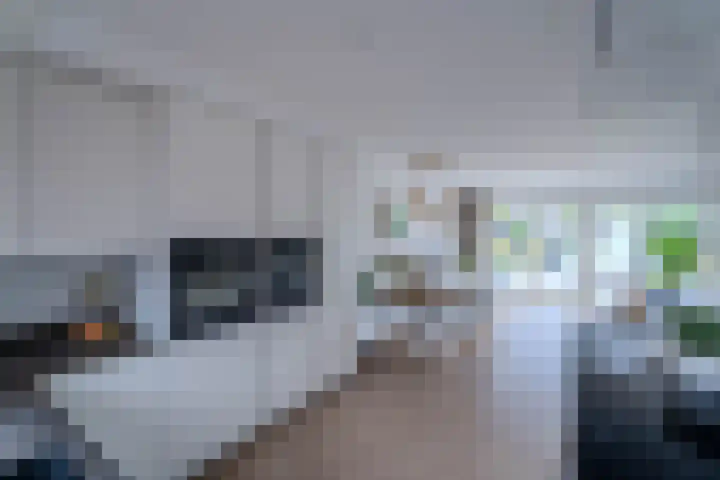 Meidoorn 43 Poortugaal thumbnail 16