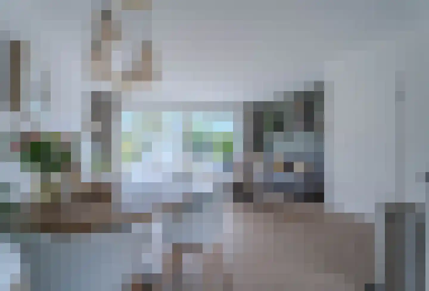 Meidoorn 43 Poortugaal thumbnail 18