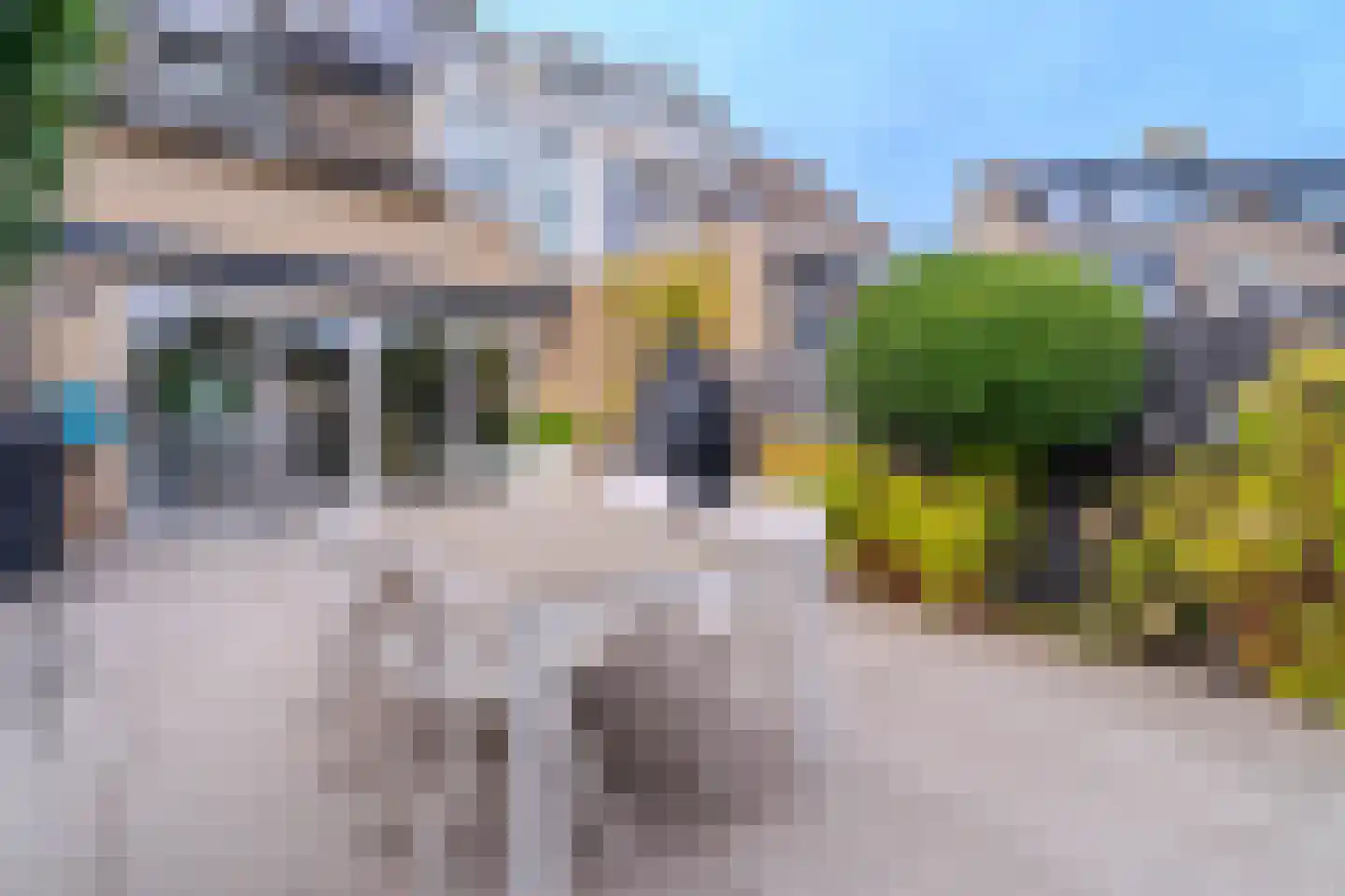 Meidoorn 43 Poortugaal thumbnail 23