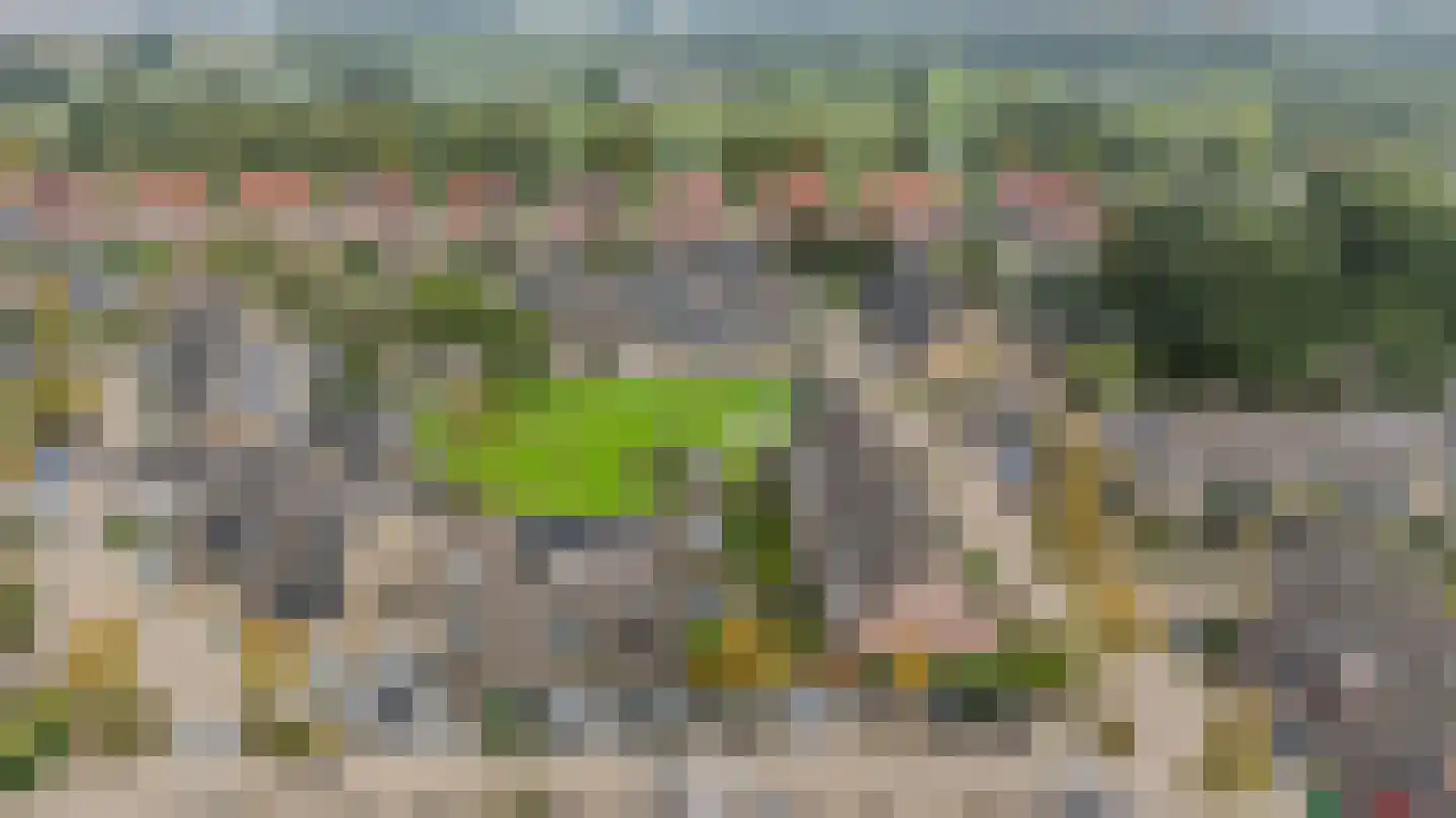 Meidoorn 43 Poortugaal thumbnail 24