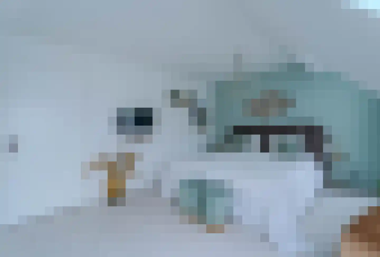 Meidoorn 43 Poortugaal thumbnail 28