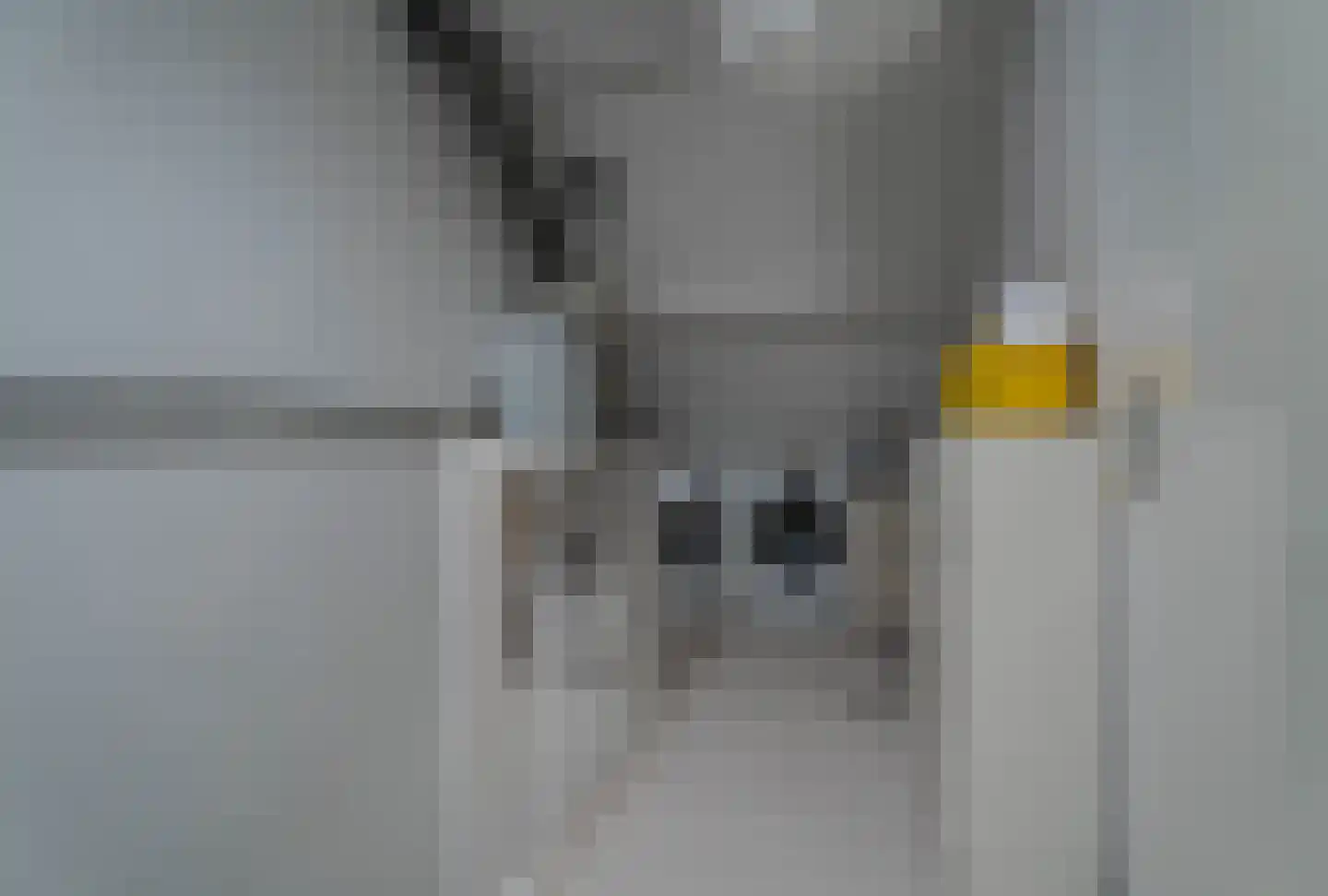 Meidoorn 43 Poortugaal thumbnail 36