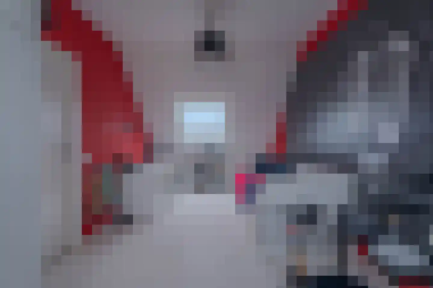 Meidoorn 43 Poortugaal thumbnail 37
