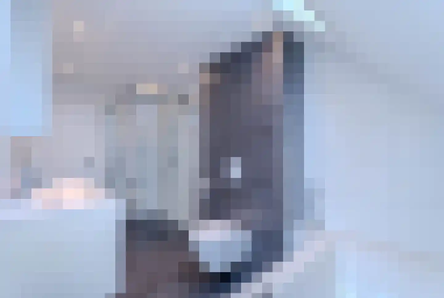 Meidoorn 43 Poortugaal thumbnail 5