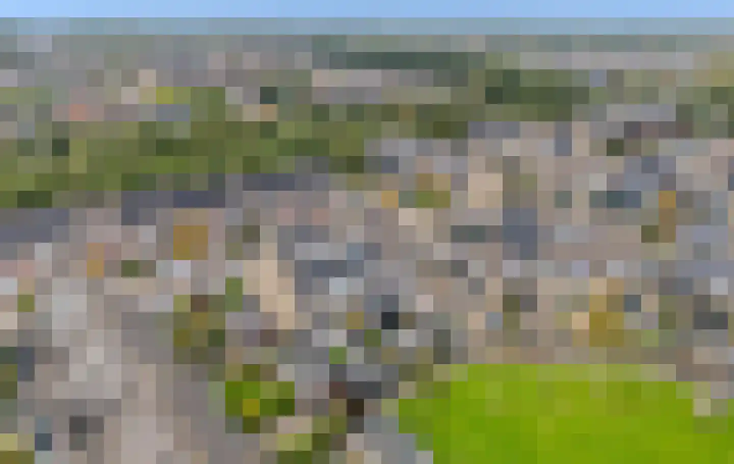 Meidoorn 43 Poortugaal thumbnail 7