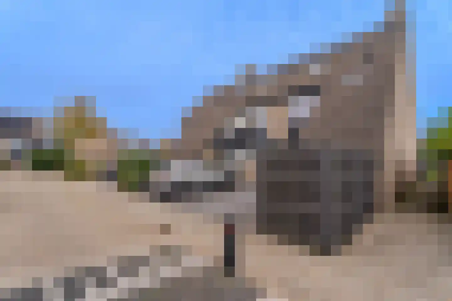 Meidoorn 43 Poortugaal thumbnail 8